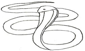 draw a snake