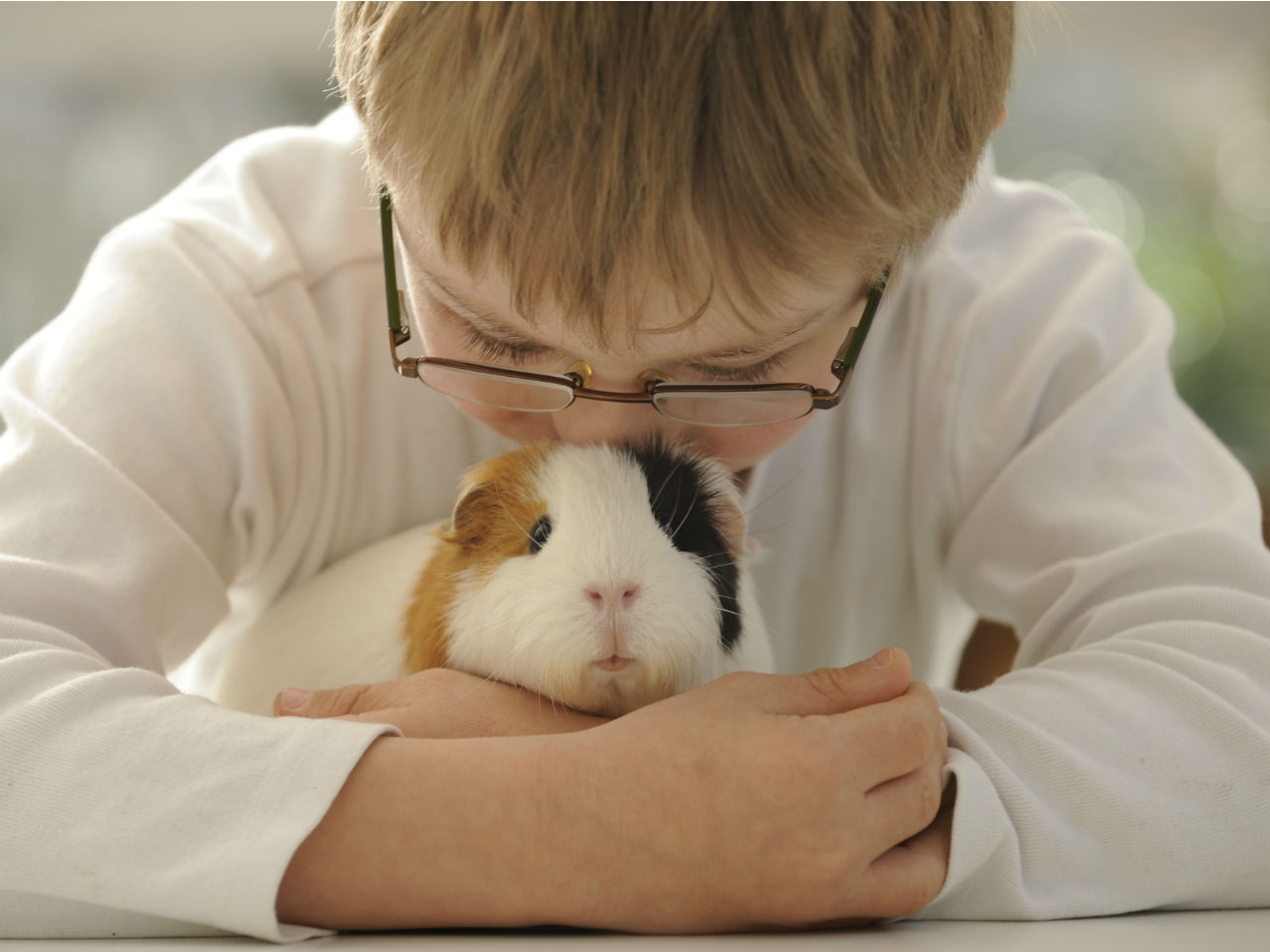Pets For Kids - US News Breaking Today