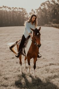 horse rugs online