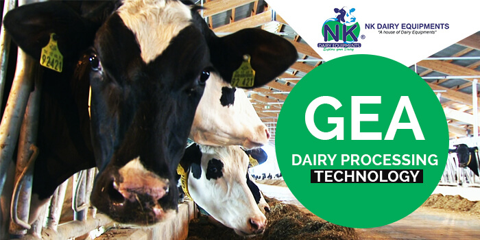 Everything you should know about GEA dairy processing technique and approach