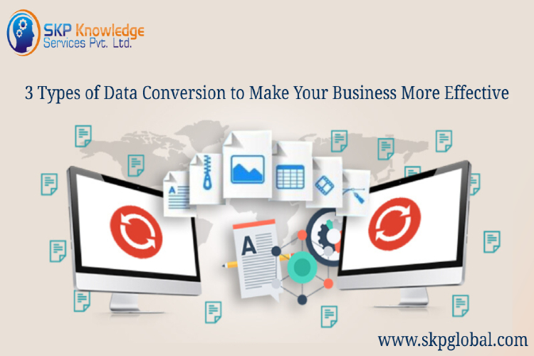 data conversion services