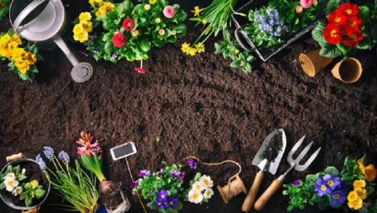 Basic Tools Used For Gardening By The Gardeners
