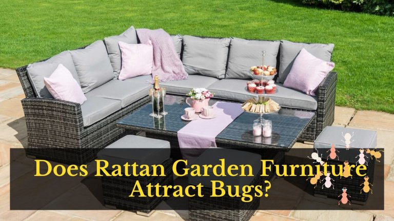 Does Rattan Garden Furniture Attract Bugs?