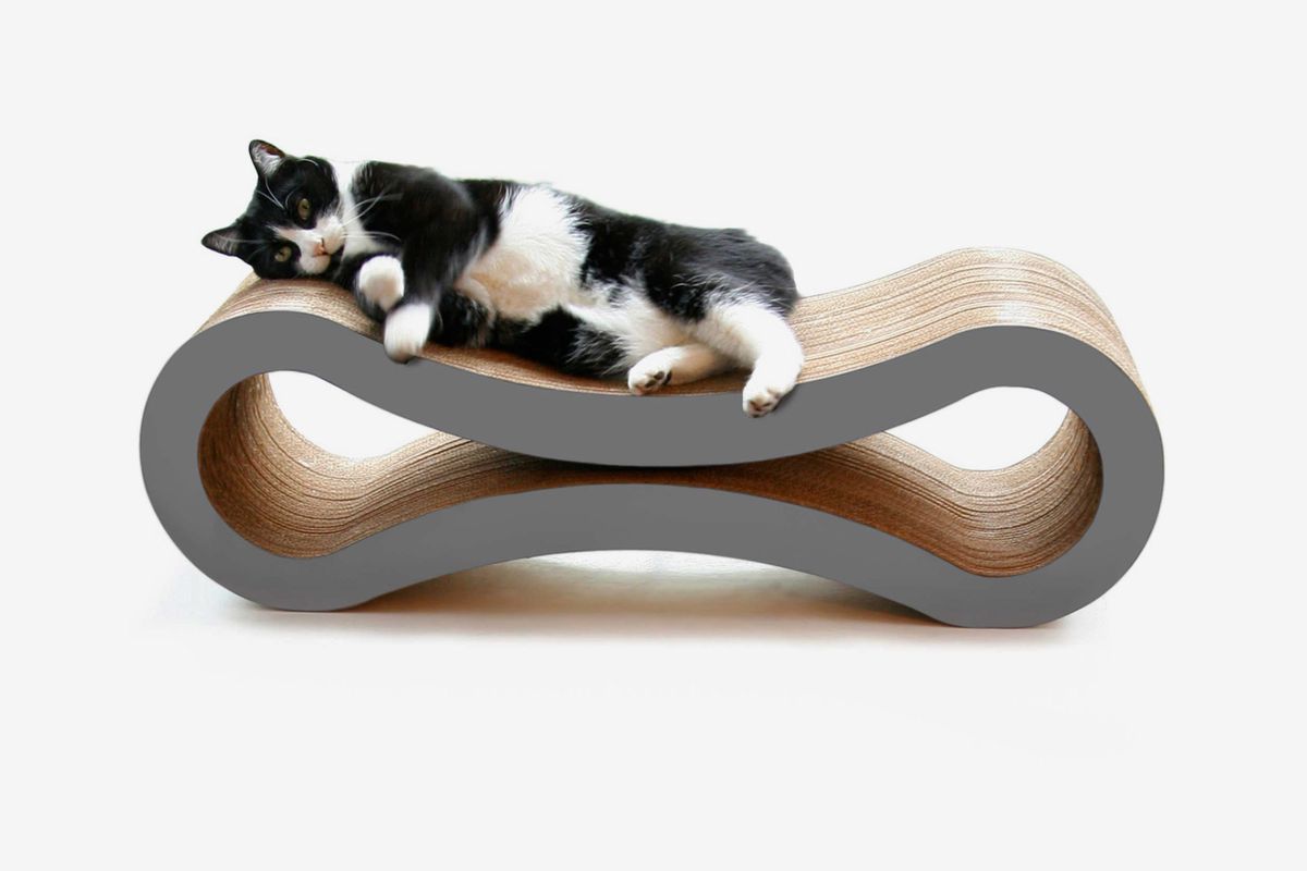 Incredible gifts for the cat parents