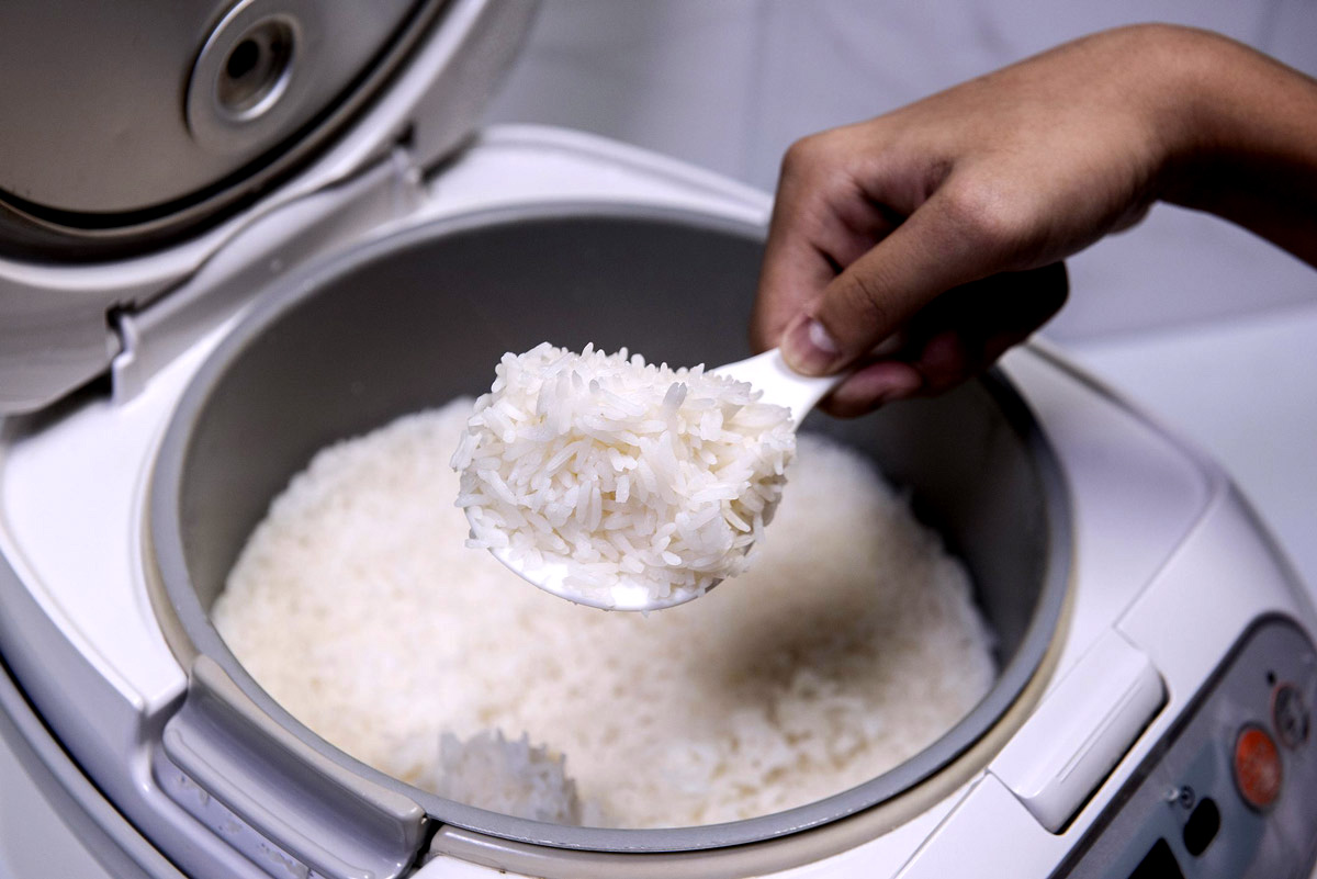 Reviewed by the best Hamilton beach oatmeal cookers