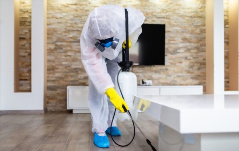 Pest Control Services for Beaumaris: Contact Our Local Experts Today