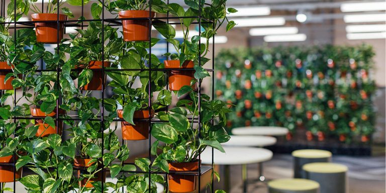 Vertical Garden: Should You Invest In One?
