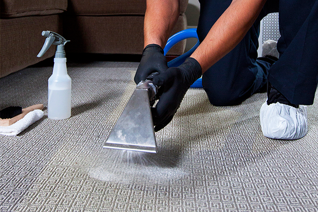 Easy Tips for Keeping Your Home Carpets Fresh and Clean All the Time