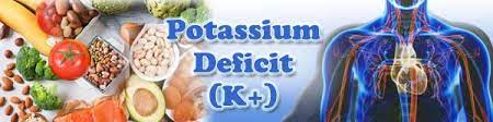 Food That Are Rich In Potassium And Its Benefits