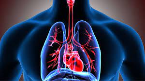What are the topmost health expert tips to take care of your lungs?