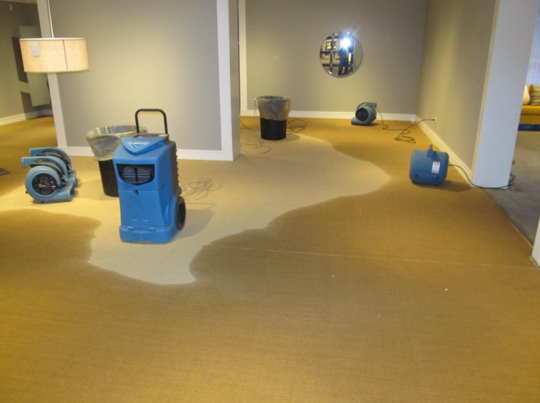 Why in Boca Raton People need to Hire Water Damage Cleanup Services