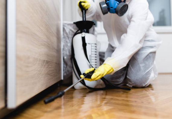 Residential Pest Control Tips for Ferntree Gully