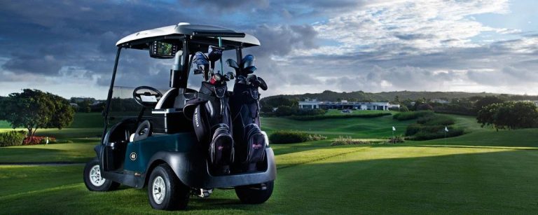 Lithium Ion Golf Cart Battery Factory: How does this unit function?