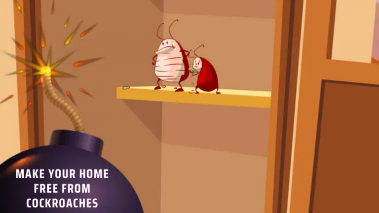 6 Brilliant Tips to Make Your Home Free From Cockroaches in This Diwali