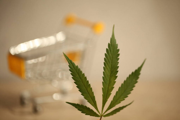 cannabis-delivery-greenleaf