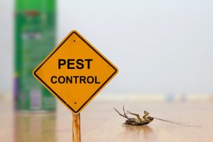 cockroach pest control near me