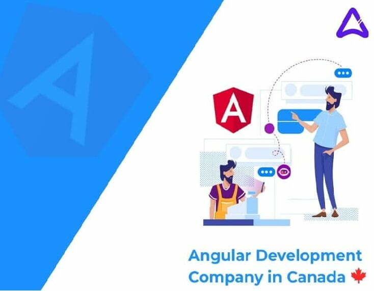 Best Angular Component Libraries for Web Development