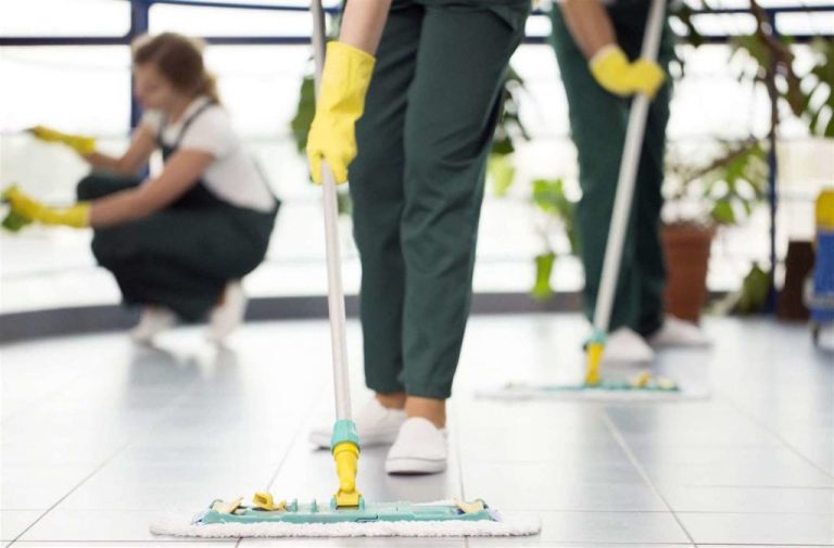 Why Hire a Professional Team of Cleaners from a Reputable Company?