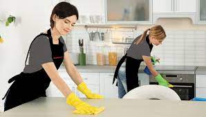 Residential Cleaning Service in Michigan – Find a Company to Clean Your Windows Or Shine Your Car