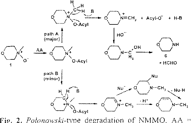 A Review of Applications of N-Methylmorpholine