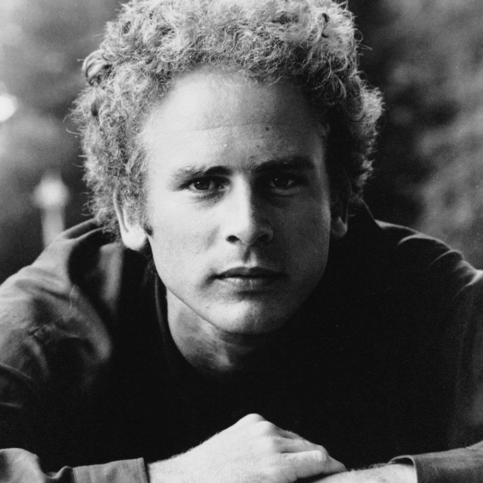 Art Garfunkel Net Worth Home   123493874 4908546655852411 169819049719989037 N 