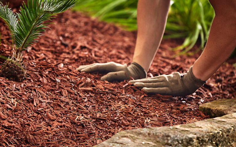 Home Depot Mulch Sale: A Green Deal for Your Greenery