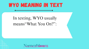 WYO Meaning in Text: What It Means, How to Use It, and Examples in Social Media Conversations