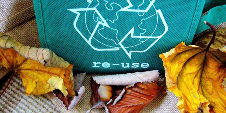 Innovative Recycling Storage Ideas for a Greener Business